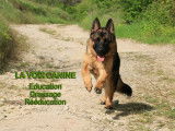 La Voix Canine