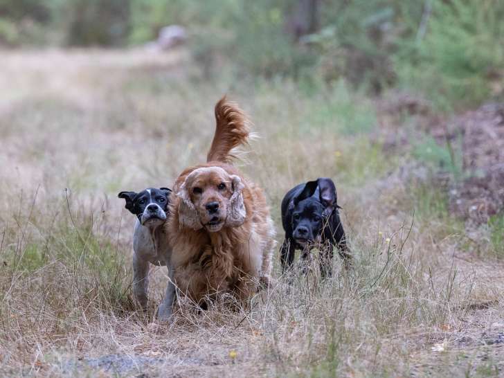 Domaine de Balthazar