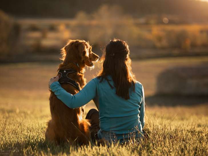 Les Ateliers d'Olympe