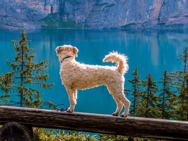 L'Eden des Maurettes