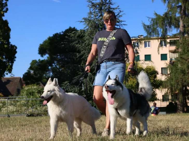 Les loulous en vadrouille