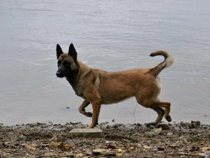 De la Légende d'Hathor