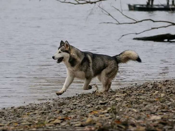 De la Légende d'Hathor