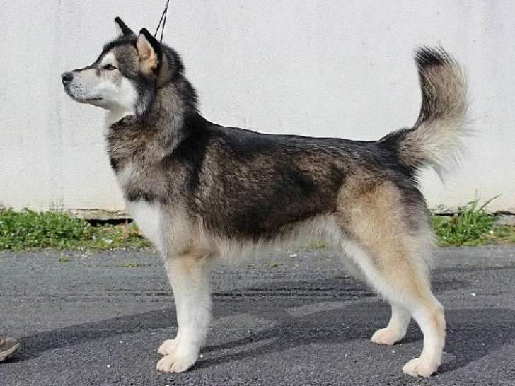 Des Rives du Haut Verdon