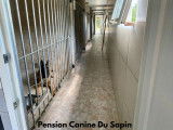 Pension canine du Sapin
