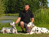 Au bon geste canin