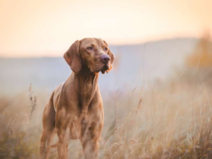 En Route Vers l’Osmose