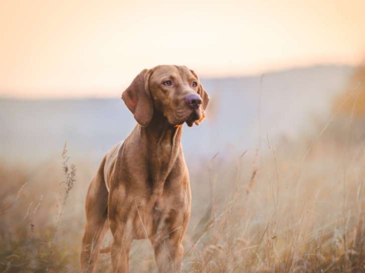 En Route Vers l’Osmose