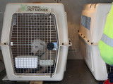 Global Pet Mover - Zurich