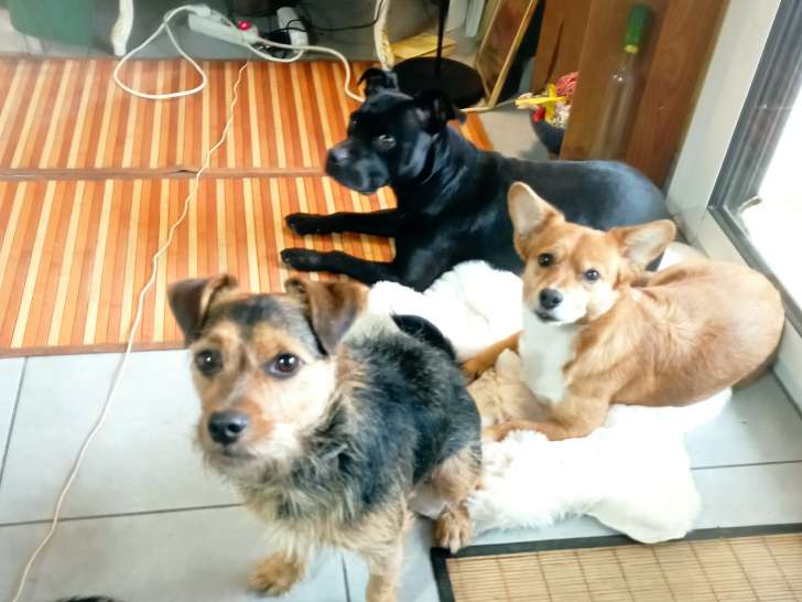 Mes derniers invités