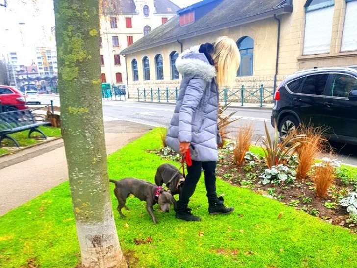 Cats' n Dogs Petsitting Service