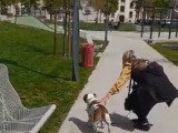 Cats' n Dogs Petsitting Service