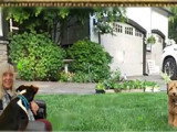 Cats' n Dogs Petsitting Service