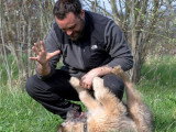 De Nature Canine