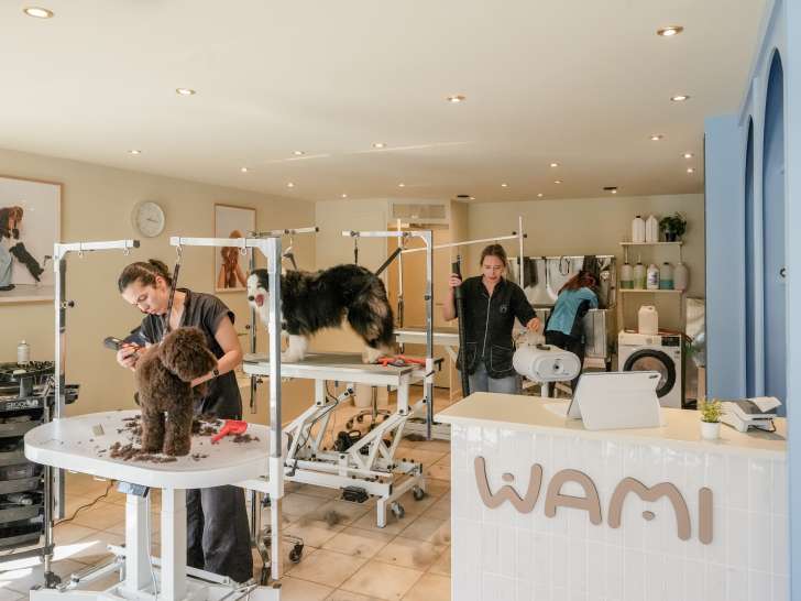 Wami Grooming Waterloo