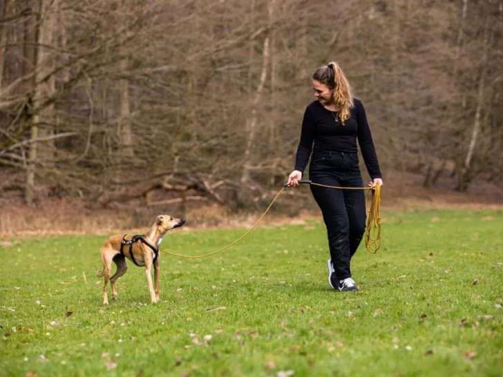 La Dog Buissonnière