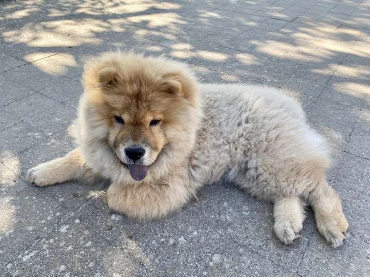 St&eacute;phanie Hendrickx