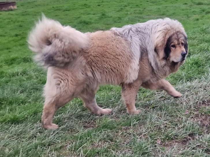 Du Domaine Du Rupt de Mad