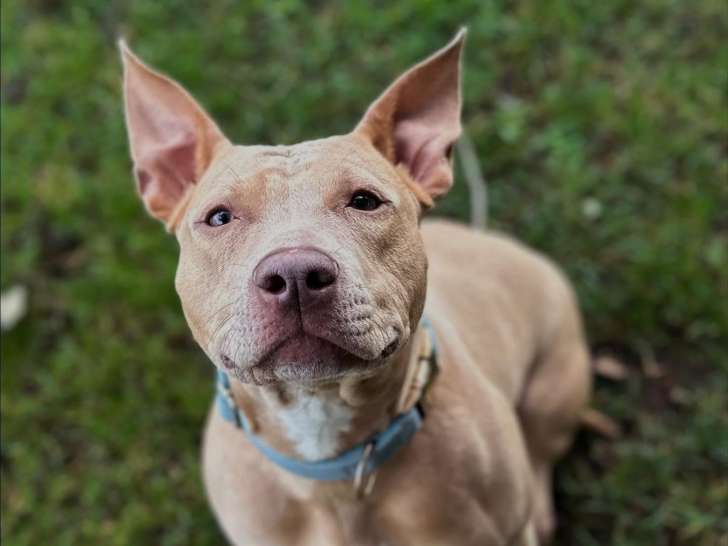 &Ocirc; ma&icirc;tres tranquilles