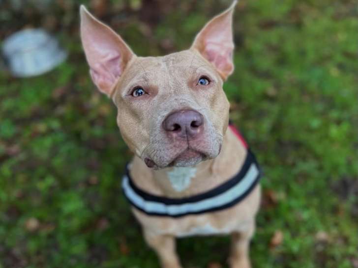 &Ocirc; ma&icirc;tres tranquilles