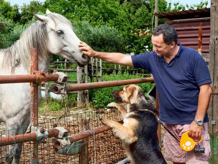 Chiens et chevaux du Bois Bordia