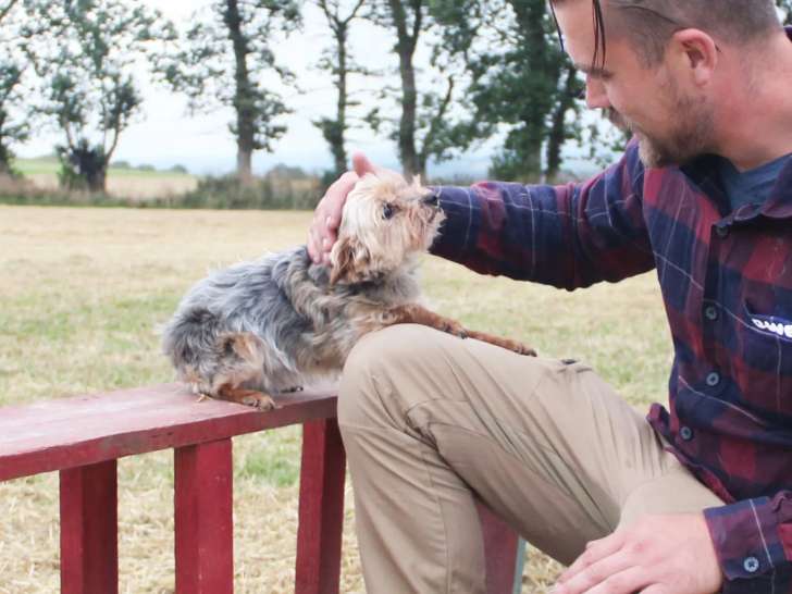 Bien dans ses pattes