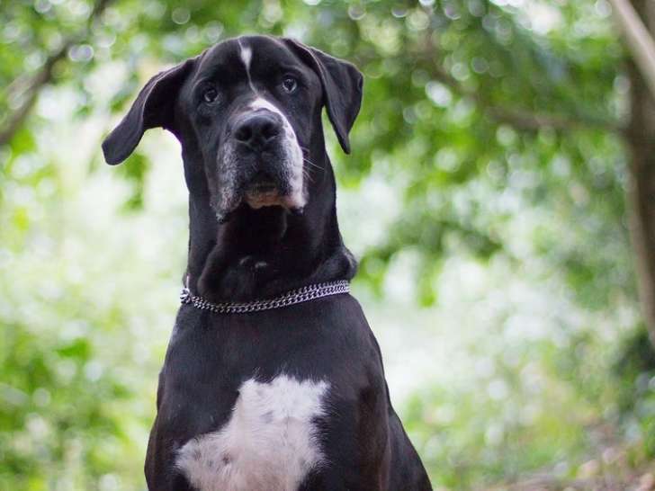 L'Empreinte du Vinou