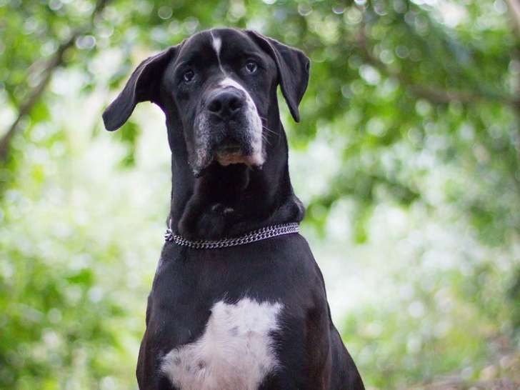 L'Empreinte du Vinou