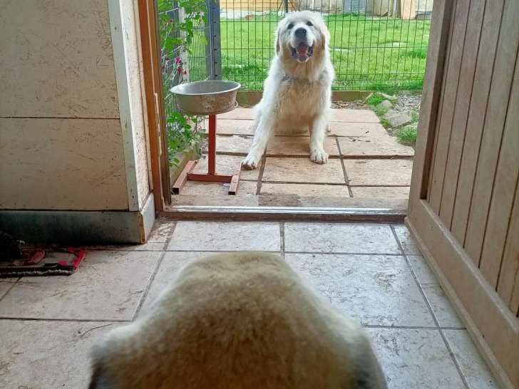 Le domaine de Gros Caillou