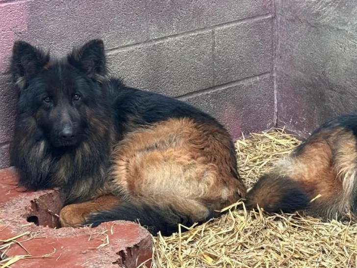 Du Domaine de la Ternoise