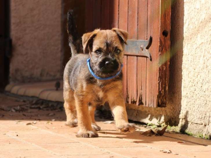 Les Brumes de Kahlan