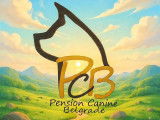 Pension canine familiale de Belgrade Namur