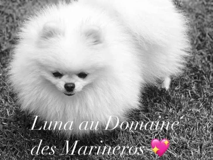 Du domaine des Marineros