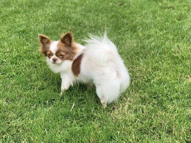 Du domaine des Marineros