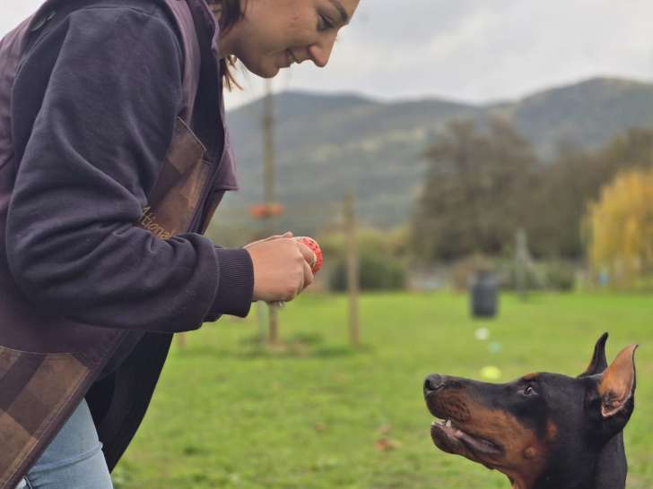 S&eacute;ance d'&eacute;ducation. Gestion des &eacute;motions lors d'une session de jeu