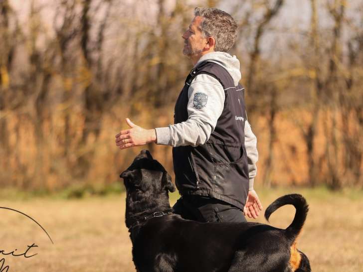 S&eacute;bastien Rivaud