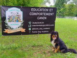 Family Dog Academy