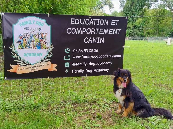 Family Dog Academy