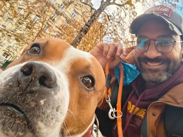 Comme Chiens et Chats