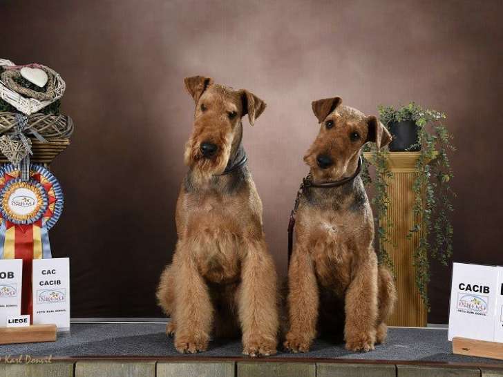 Domaine de Martindale