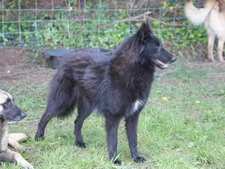 Du Domaine de Vauroux