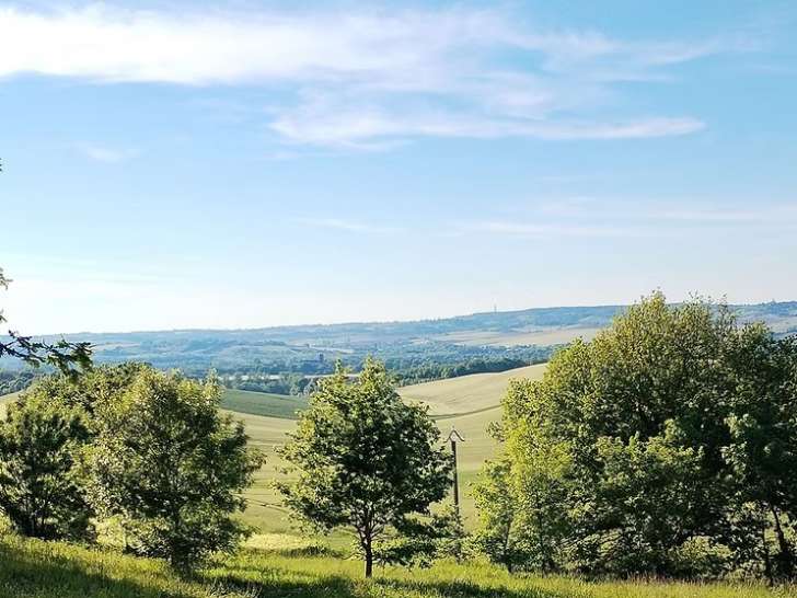 &Eacute;ducation canine 31