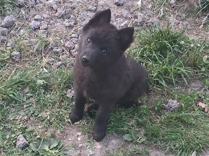 Des Regards Brûlants