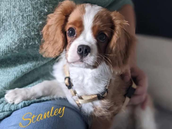 Marianne et Compagnons