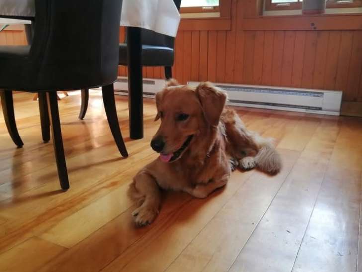 du Clos de la Vallée