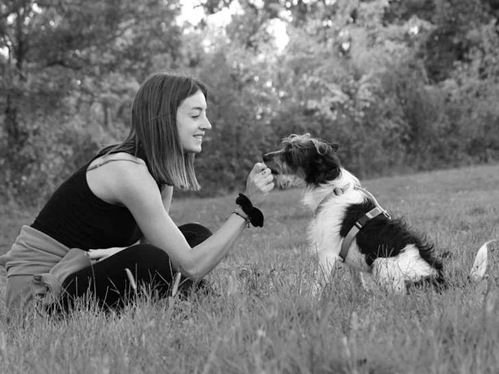 Passionnément chien