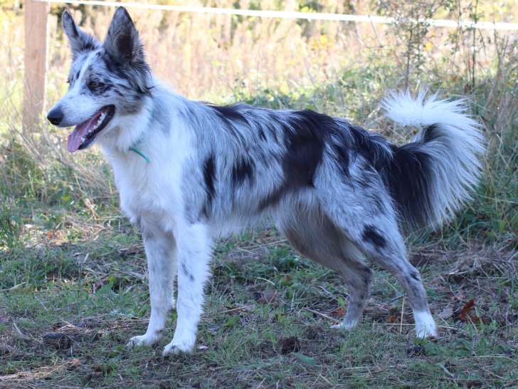 Des Truffes Colorées