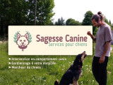 Sagesse Canine
