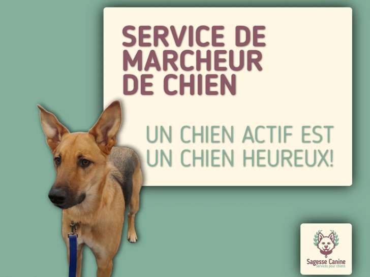 Sagesse Canine