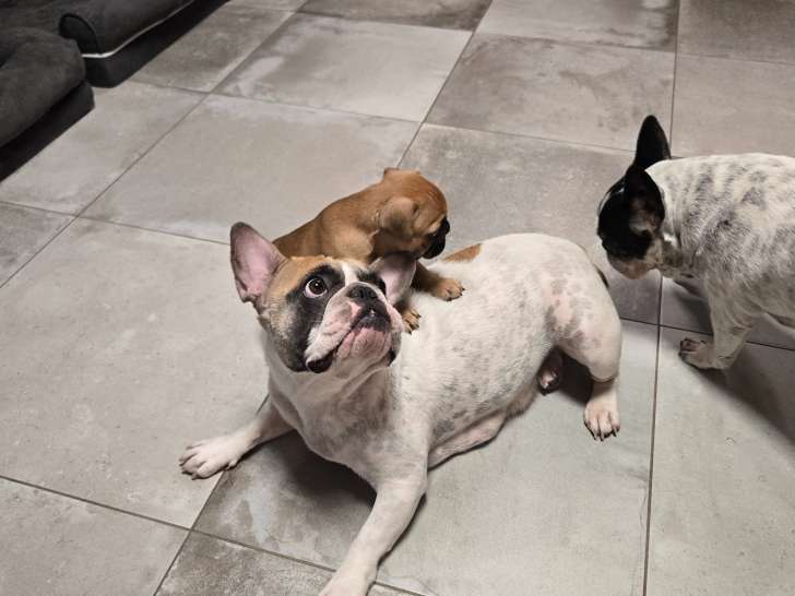 Notre gentille maman